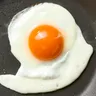 Profile picture of Egg